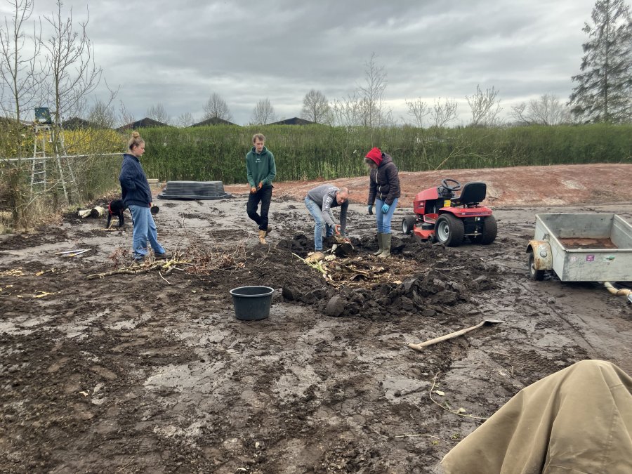 Hügelbed aanleggen en terugplanten pioniers
