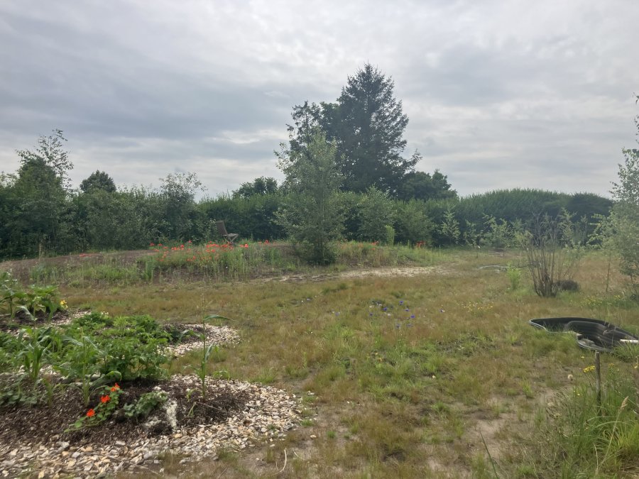 Terugkerend leven